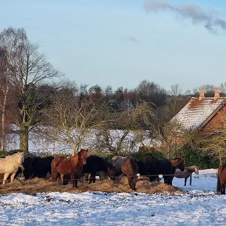 아파트 Gaestehuset Pa Agerholm 헬싱