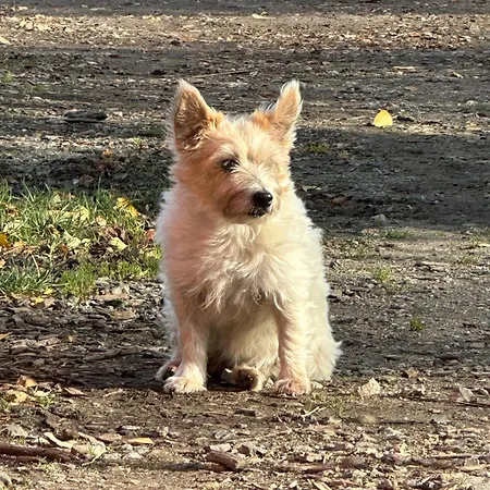 Gaestehuset Pa Agerholm